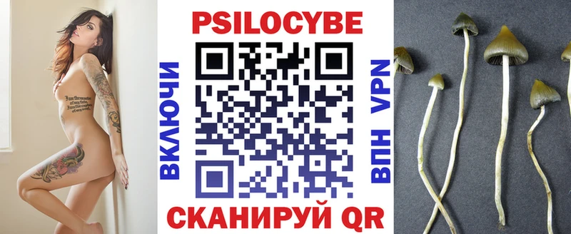 Купить где  Ужур  Галлюциногенные грибы GOLDEN TEACHER 